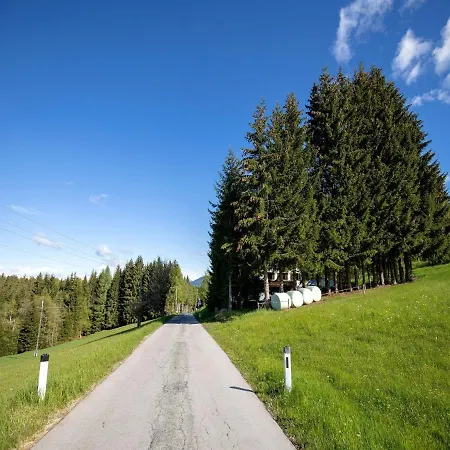 In Mooswald In Carinthia With Pool Apartment *